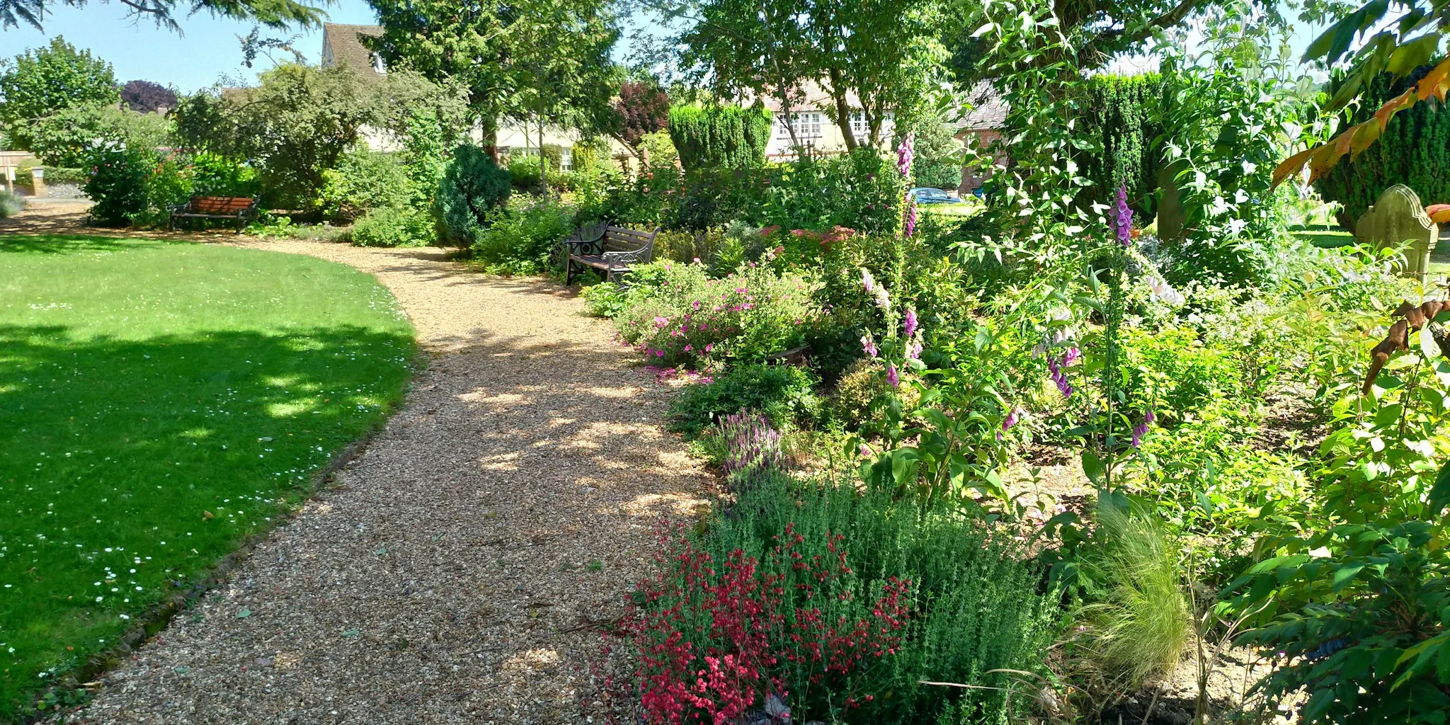 7 Water Wise Garden Design Strategies