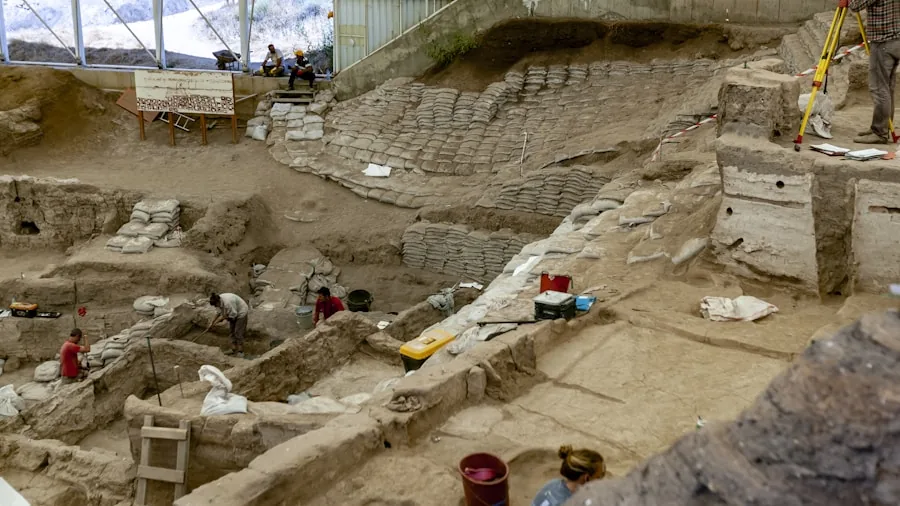 excavation archaeological dig site