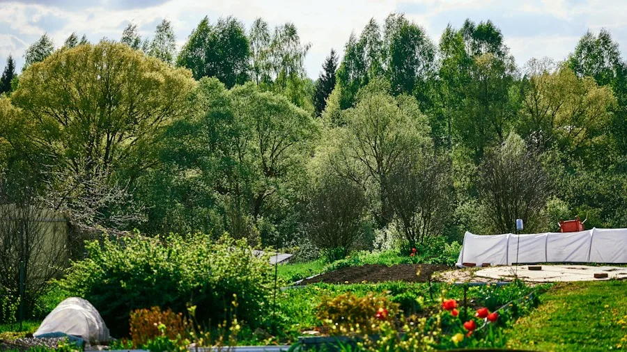 Frost Protection for Your Plant Garden: What Buyers Should Know This Fall 3 fabric sheet covering garden bed