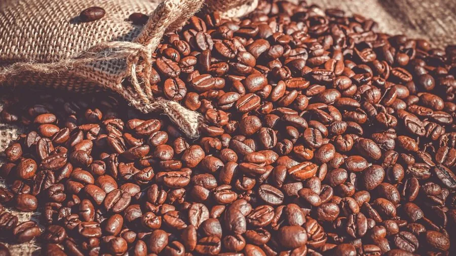 fair trade coffee bag close-up