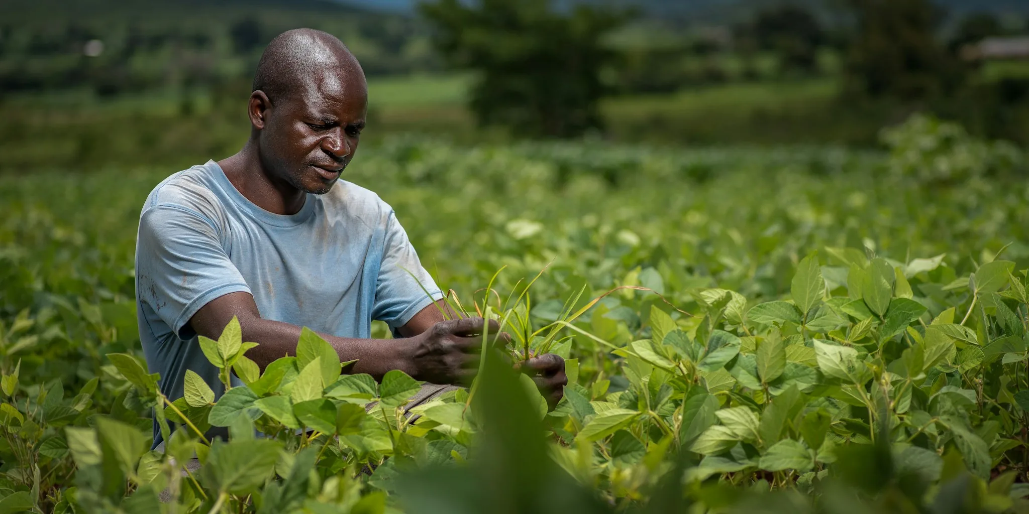 Fair Trade Coffee Prices Rise Again in 2026