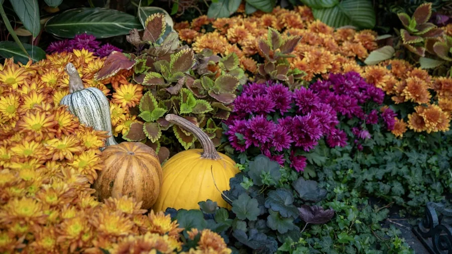 Asters Are Quietly Replacing Mums as the Best Fall Garden Flower for Shoppers 3 fall garden perennials landscape
