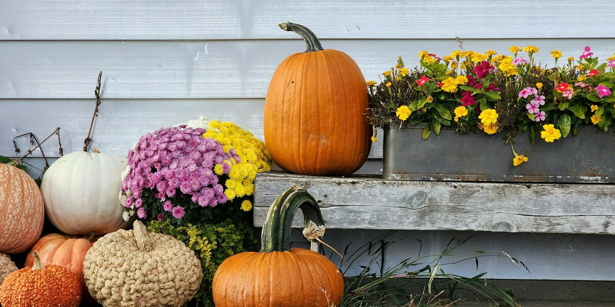 Keep Your Fall Containers Stunning Through Winter