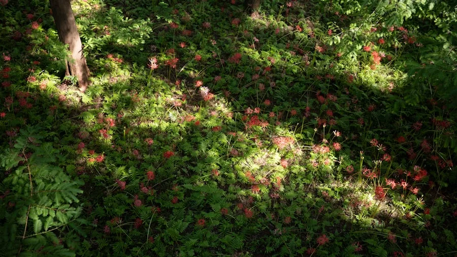 Nut Gatherer Tool for Your Garden: What Homeowners Should Know About Clearing Fallen Fruit 2 fallen apples under tree ground