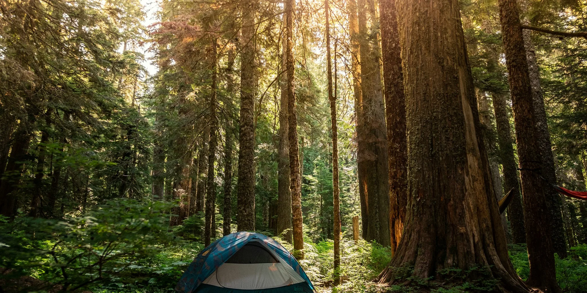 ICE Arrests on Public Lands: What Campers Need to Know