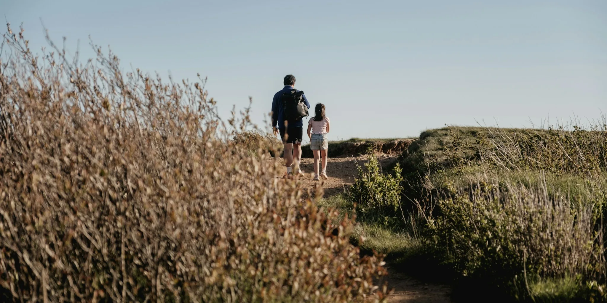 National Parks Now Offer Free Adaptive Hiking Equipment