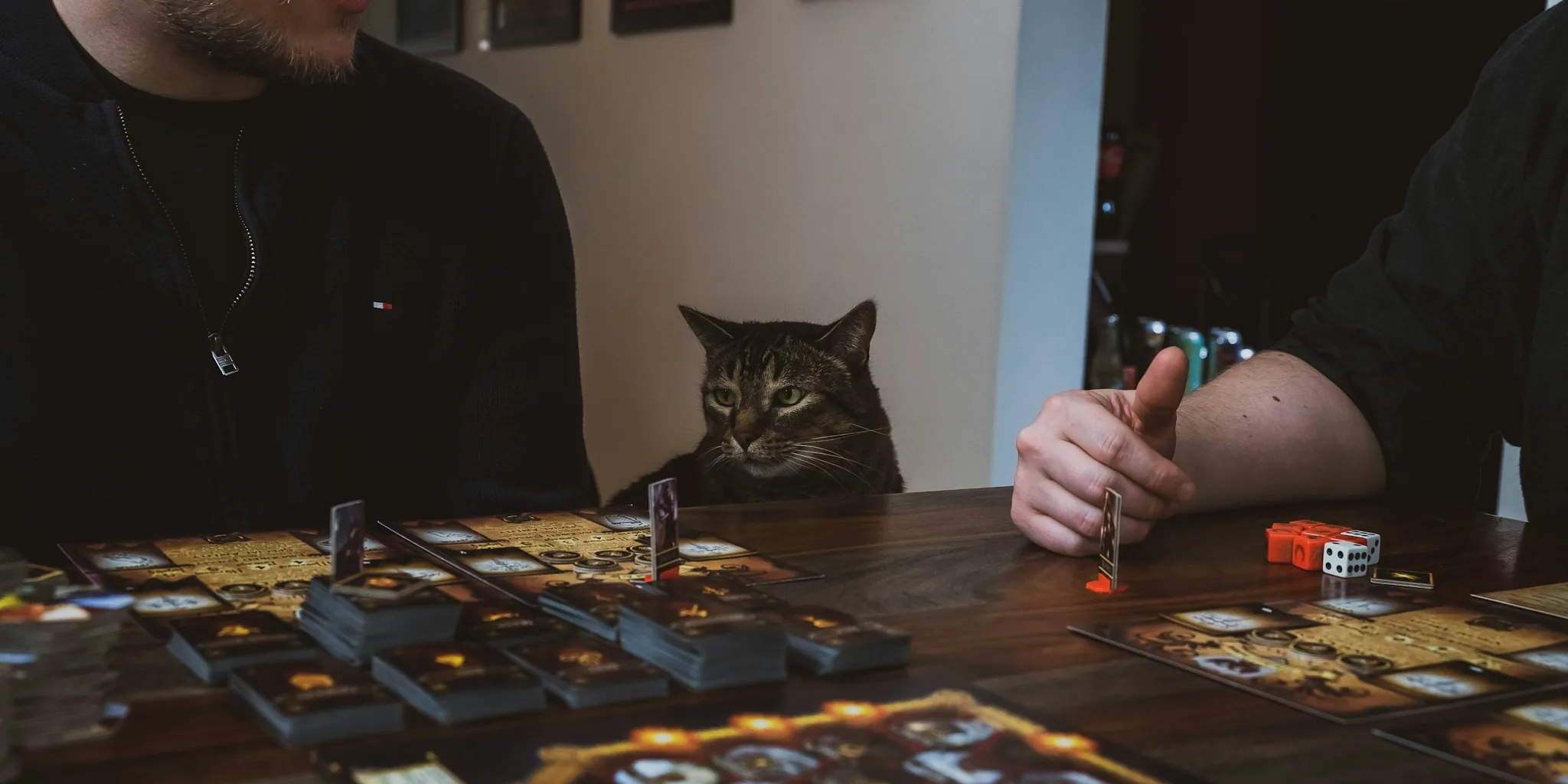 New Roleplaying Game Designed for Cat Owners