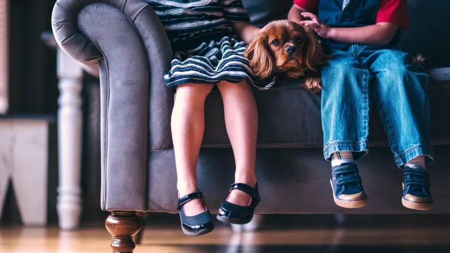 Family relaxing in a busy living room with pets and children playing on a durable area rug