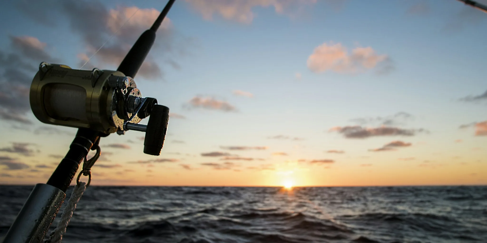 The 5 Best Fishing Reels
