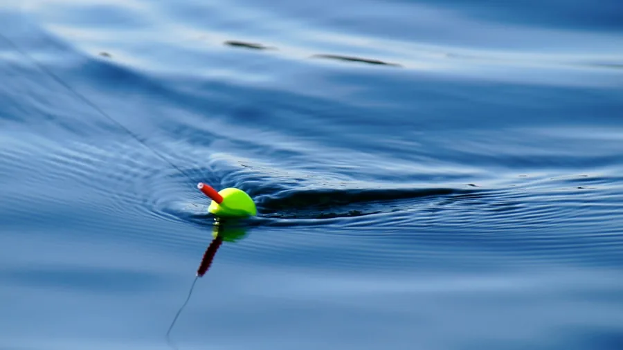 Fisherman casting lure into calm lake water during daytime fishing session
