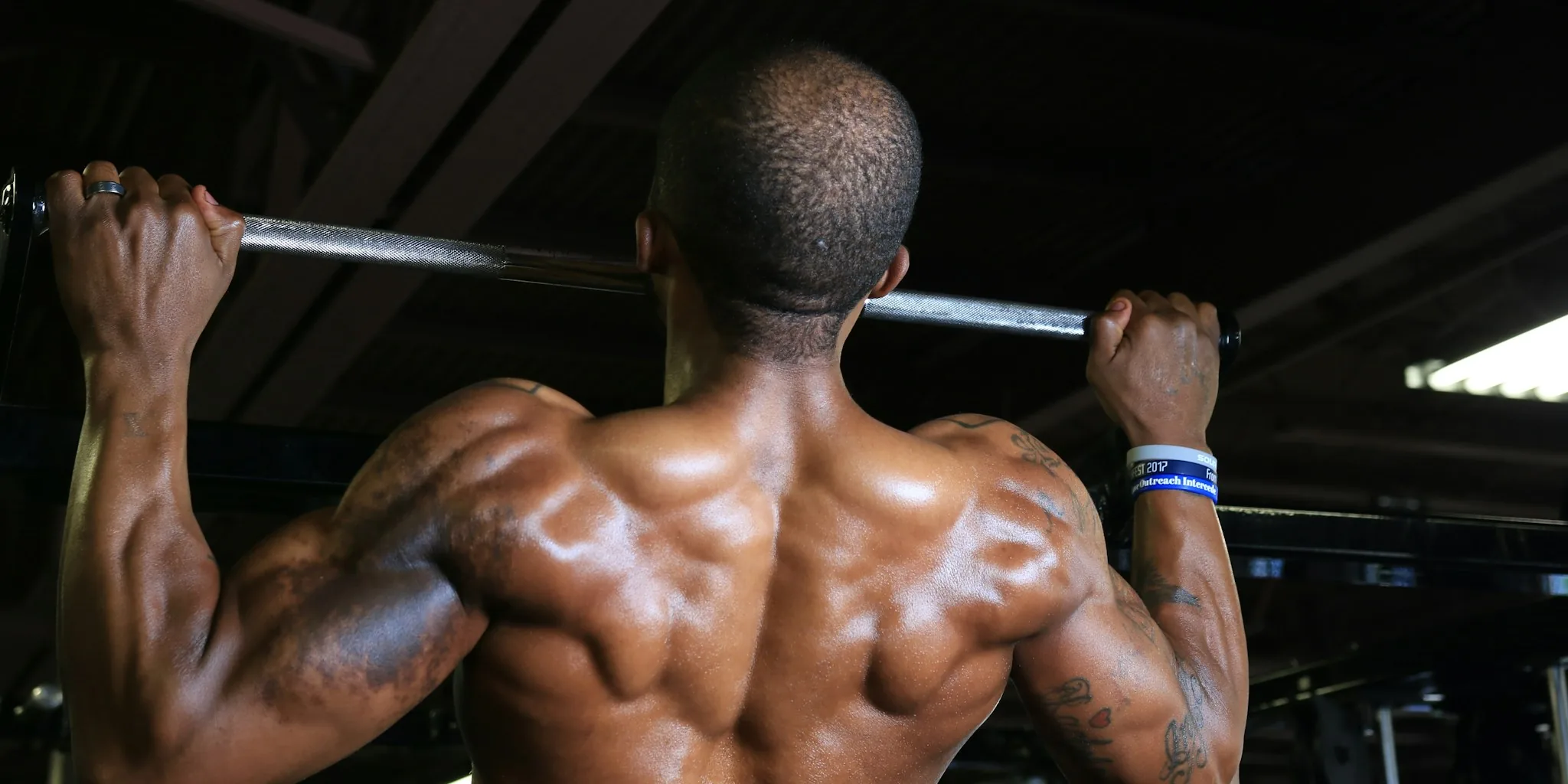 The 6 Best Pull up Bars