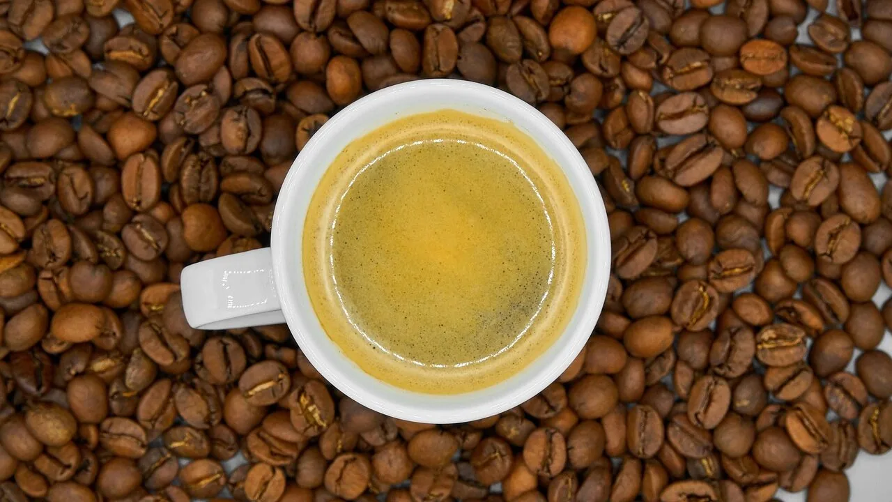 Scientists Reveal Why Coffee Tastes Bitter