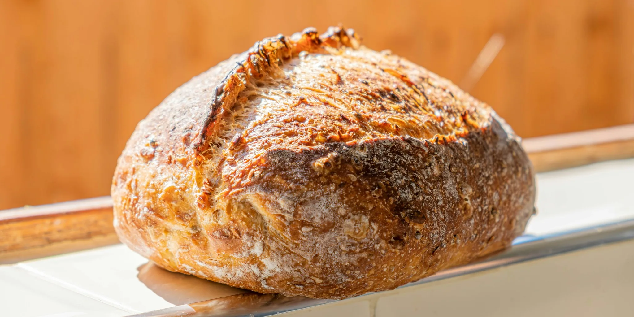 Sourdough Lovers Have More Toaster Options Now