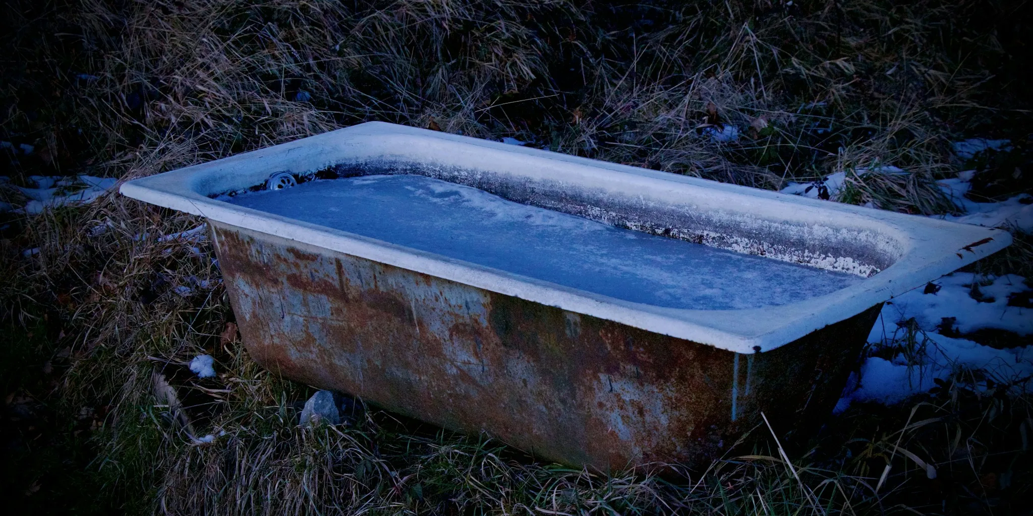 Keep Your Bird Bath Ice-Free This Winter
