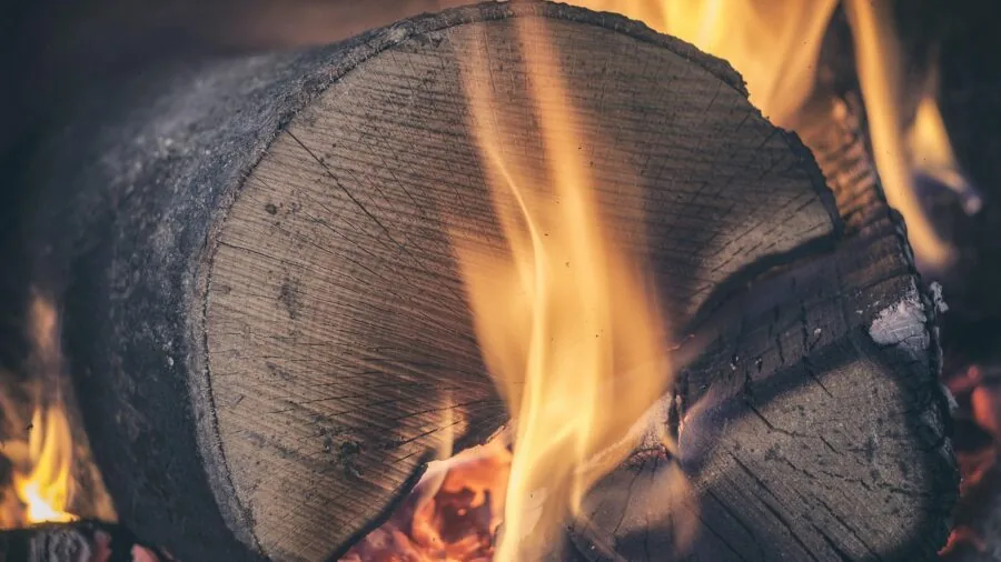 garden ash firepit burn