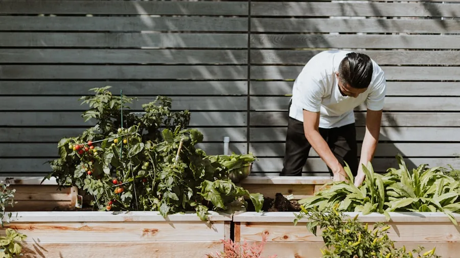 Gardener arranging tools and equipment in organized backyard storage area
