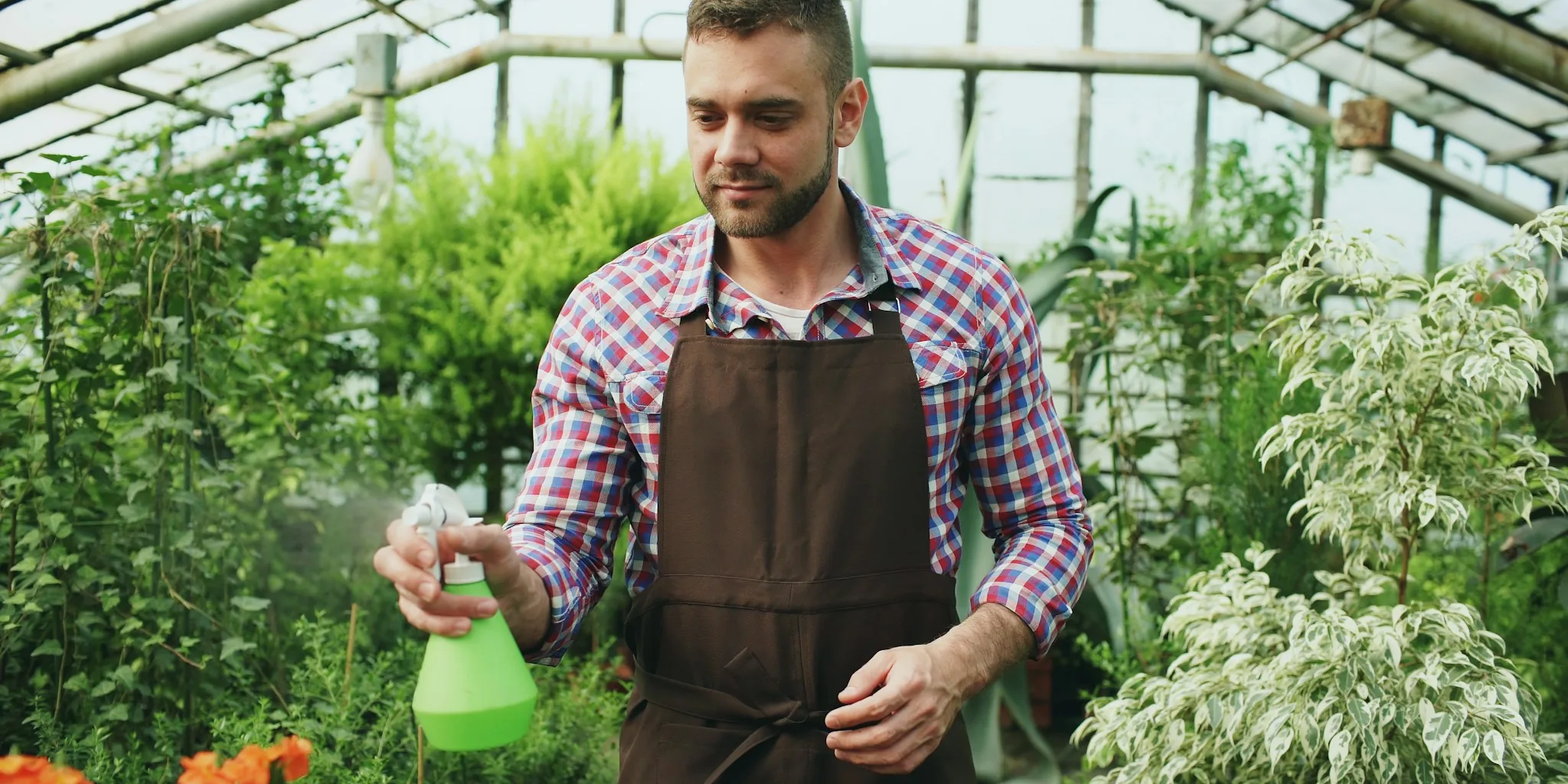 Does Flour Really Keep Garden Pests Away?