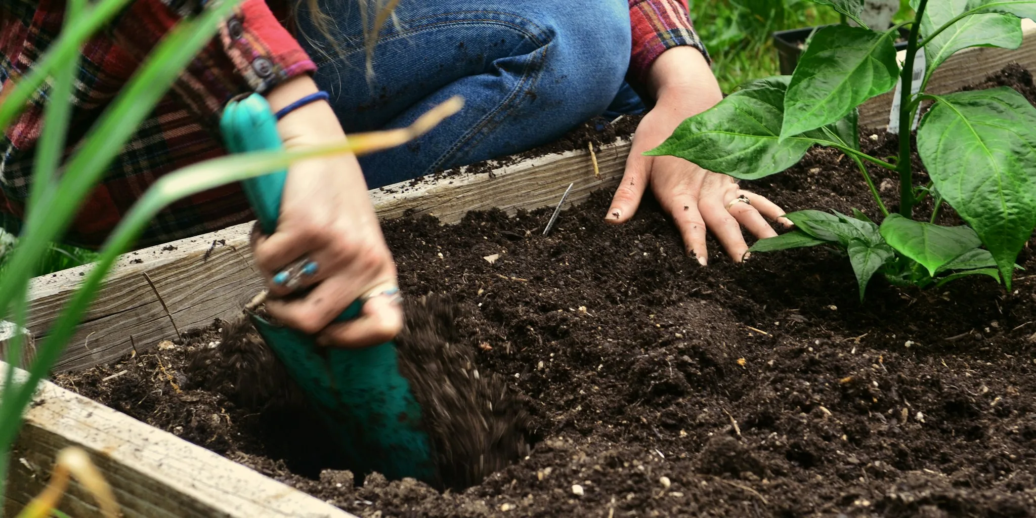 The 12 Best Raised Garden Beds