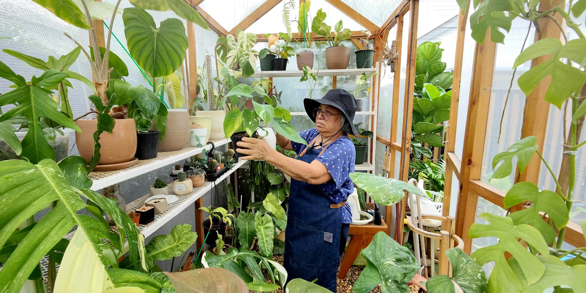 Stop Making These 4 Aphid Mistakes