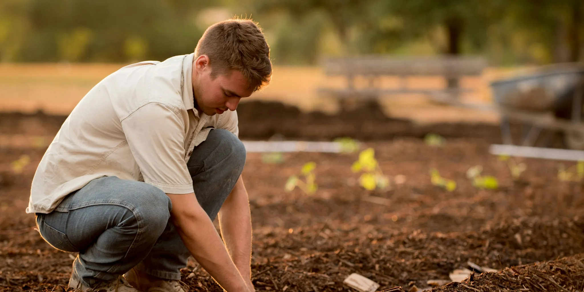 New Bulb Varieties Sell Out Fast: August Ordering Guide