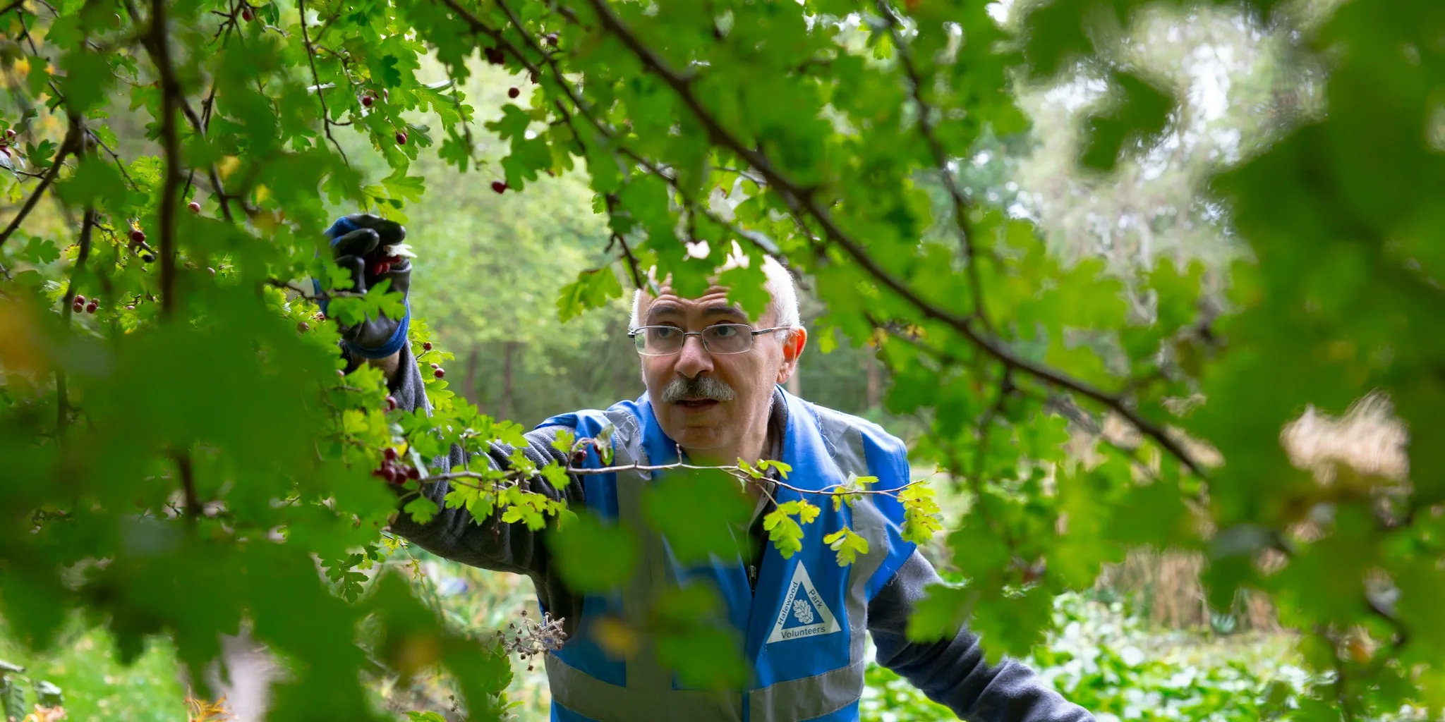 Budget Pruners Prove Homeowners Value Function over Price