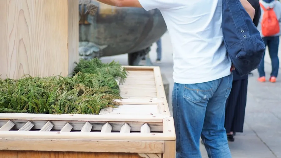 Gardener rolling a wheeled raised bed planter across a sunny patio to adjust sunlight exposure