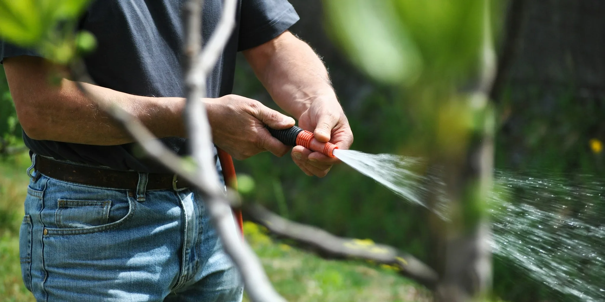 The 6 Best Hose Reels