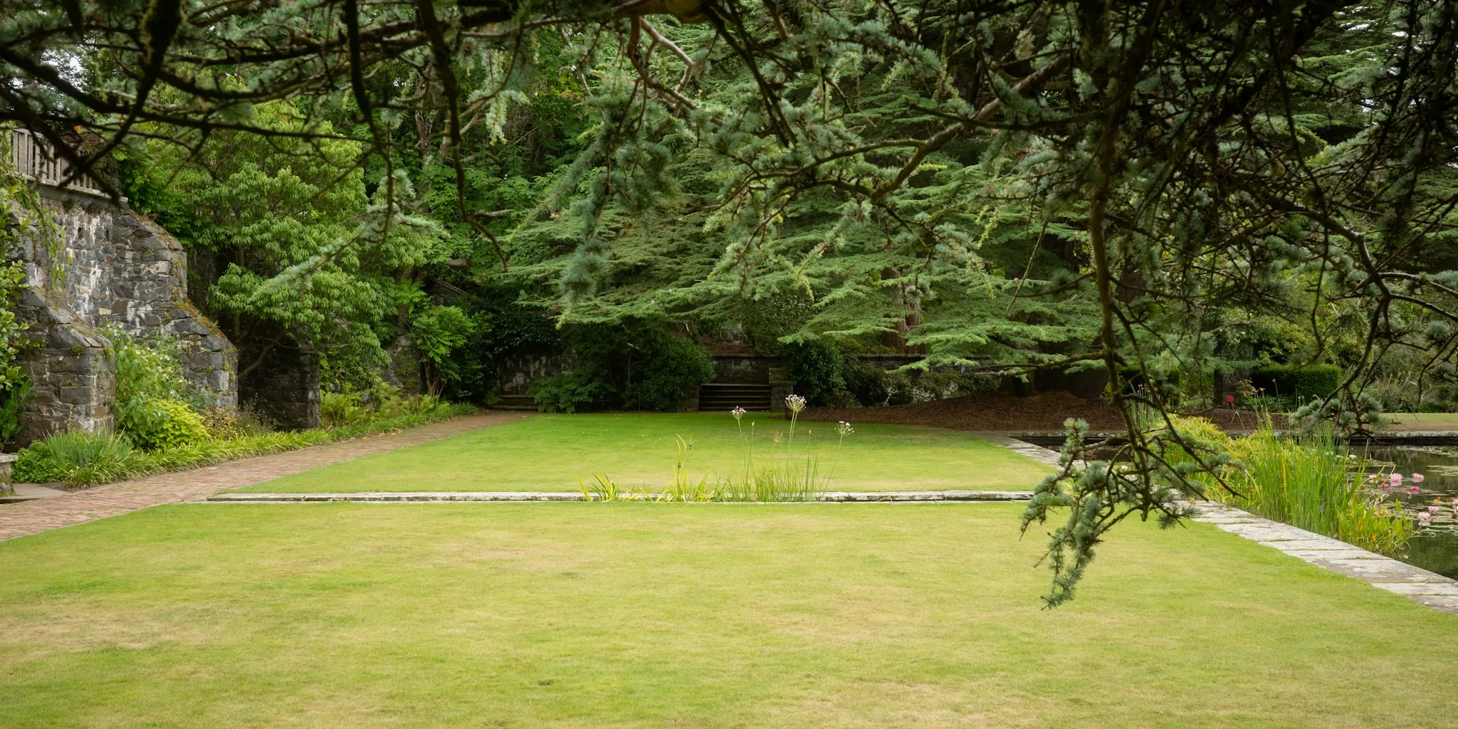 The 7 Best Lawn Edgers