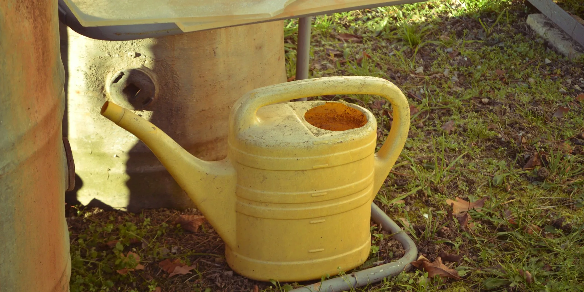 Essential Plant Care Tools and Expert Picks for Your Garden