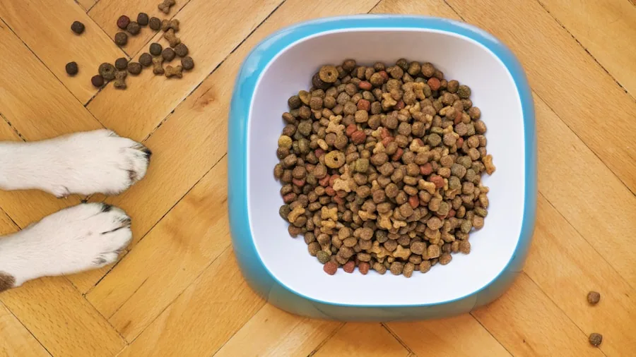 Golden retriever eating nutritious food from ceramic bowl during mealtime