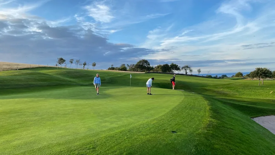 The %product_count% Best Golf Shoes 4 Golfer walking across golf course fairway during round of golf