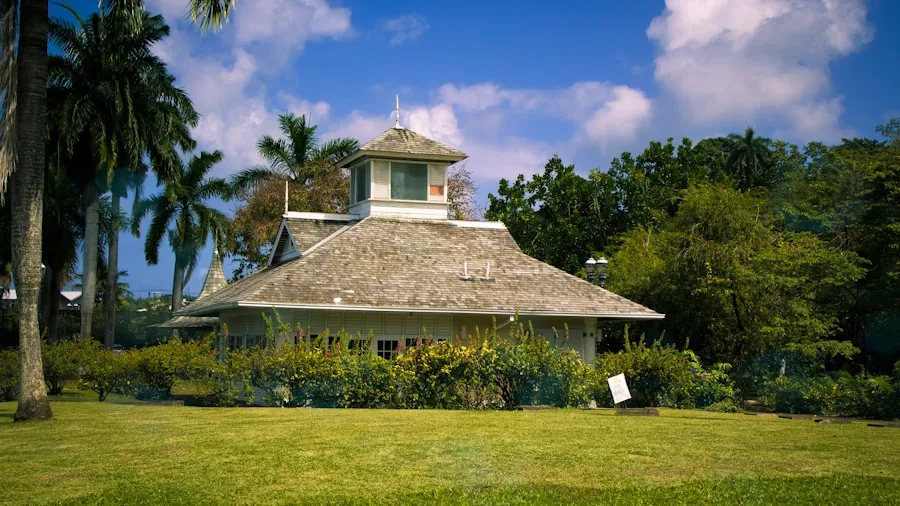 Sky's Possession Thriller Changes How TV Handles Colonial History for Viewers 2 gothic horror mansion Jamaica landscape