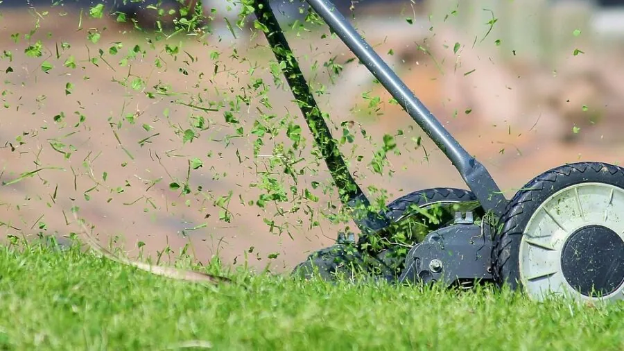 5 Essential Lawn Mower Maintenance Tips to Keep Your Equipment Running Strong 2 grass clippings mower deck cleaning