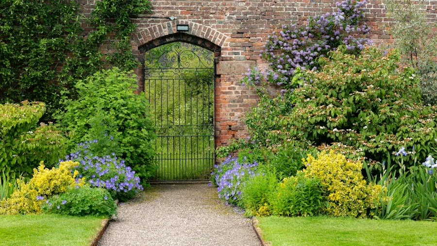 gravel pathway garden border softening