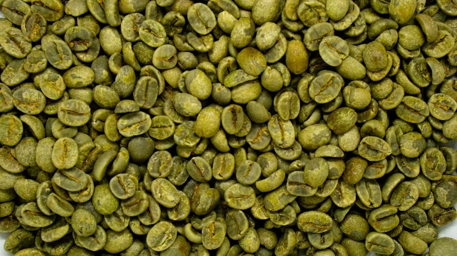 Shanghai Coffee Market Shift to Quality What It Means for US Coffee Shoppers 2 green coffee beans import logistics