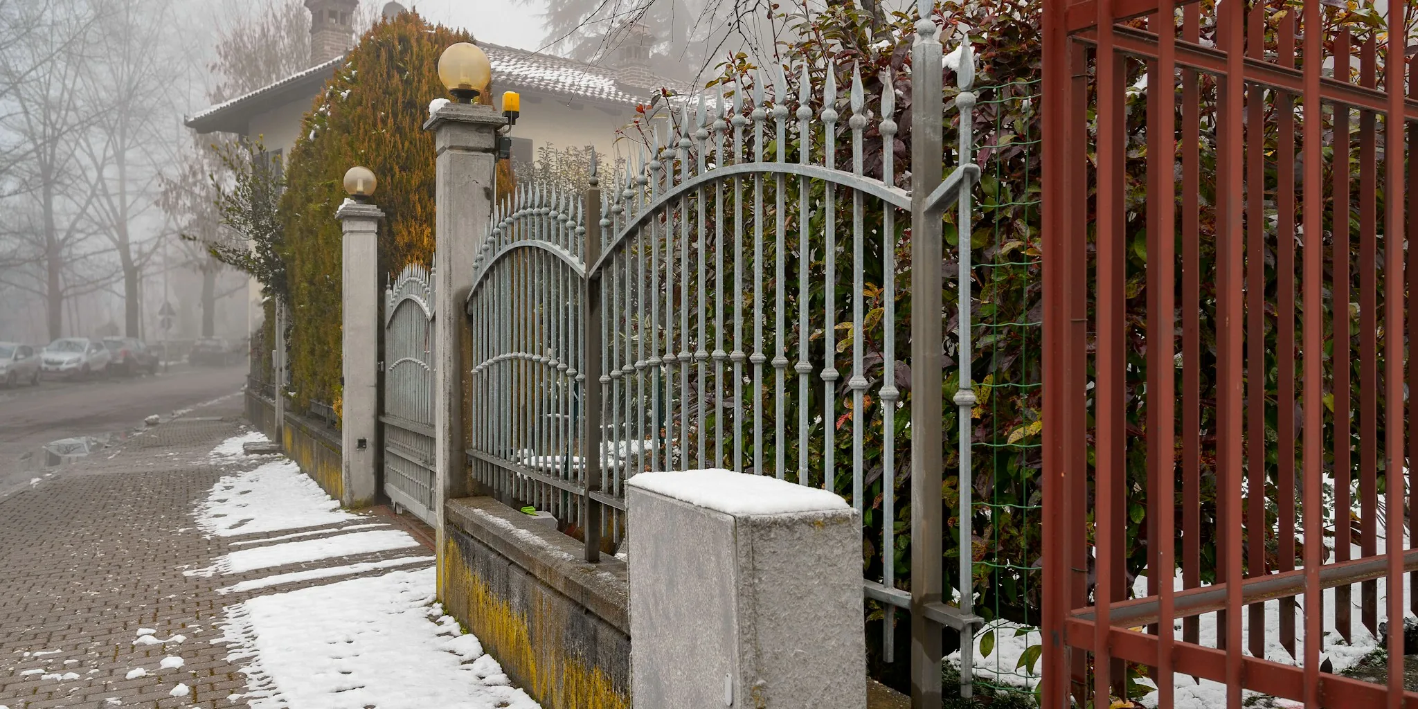 7 Tips for Property Line Hedges Done Right