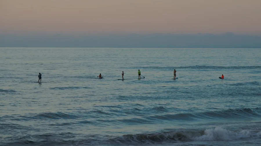 Group of friends paddleboarding together on a peaceful lake or bay during daytime