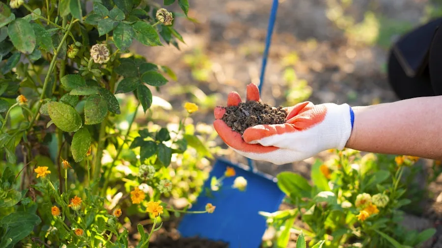 Moving Your Garden Plants: What Homebuyers and Renters Need to Know 2 hands digging garden plants with shovel