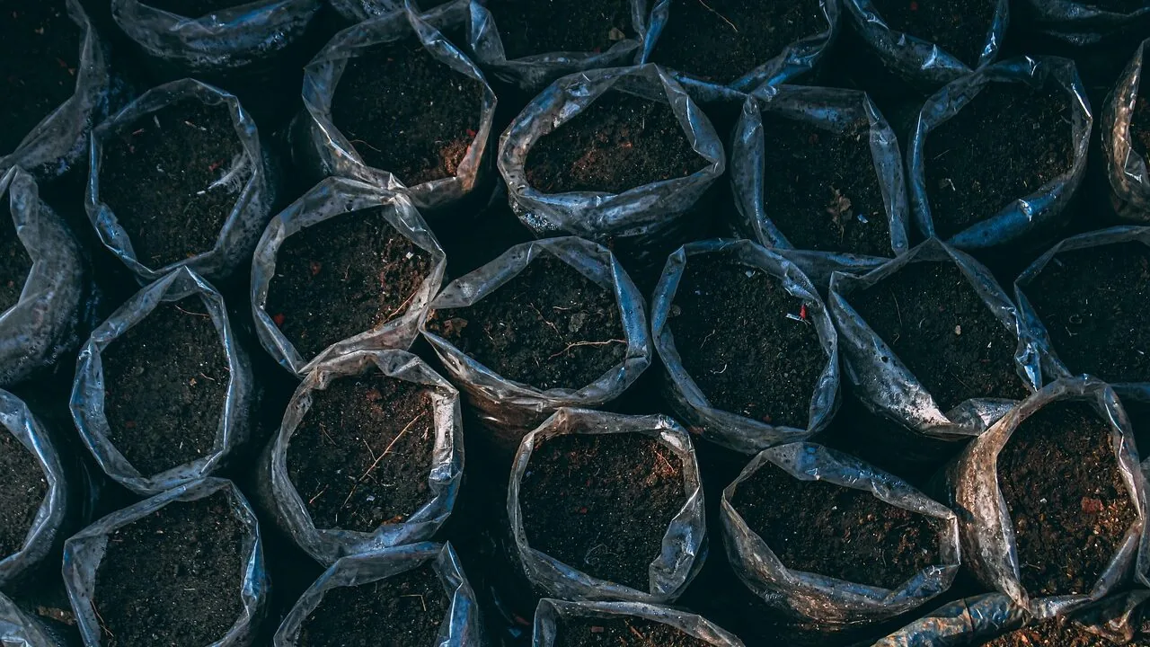 Does Pot Drainage Gravel Really Work? Science Has Answers