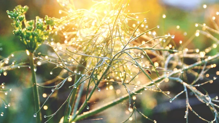 4 Critical Mistakes That Attract Aphids to Your Garden 2 hands spraying water on plant stems