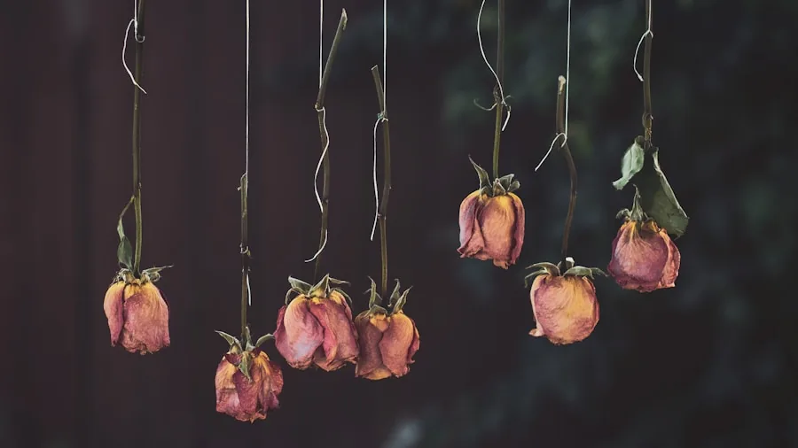 hanging dried flowers upside down