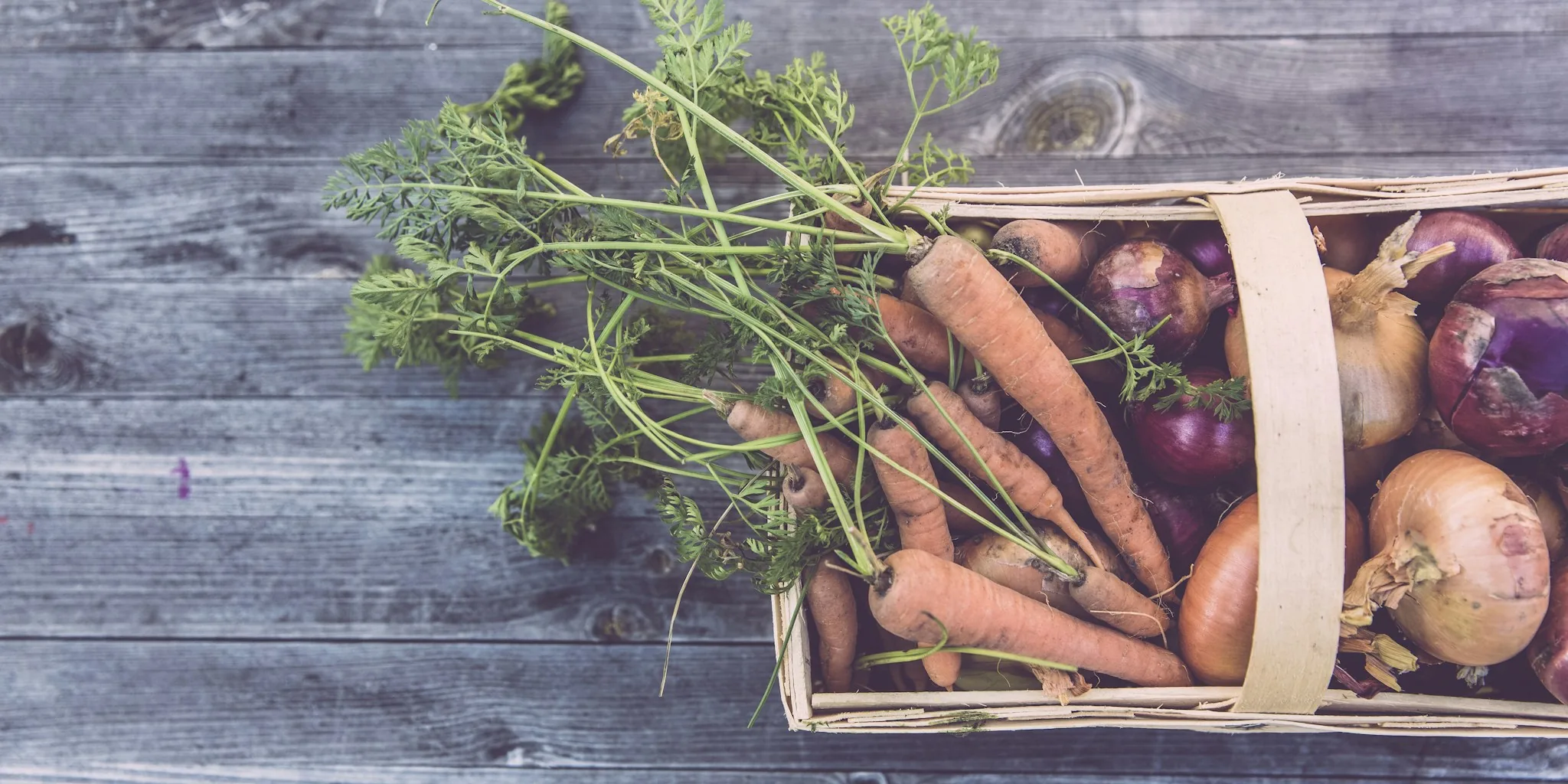 How to Grow a Harvest Basket Like the Pros