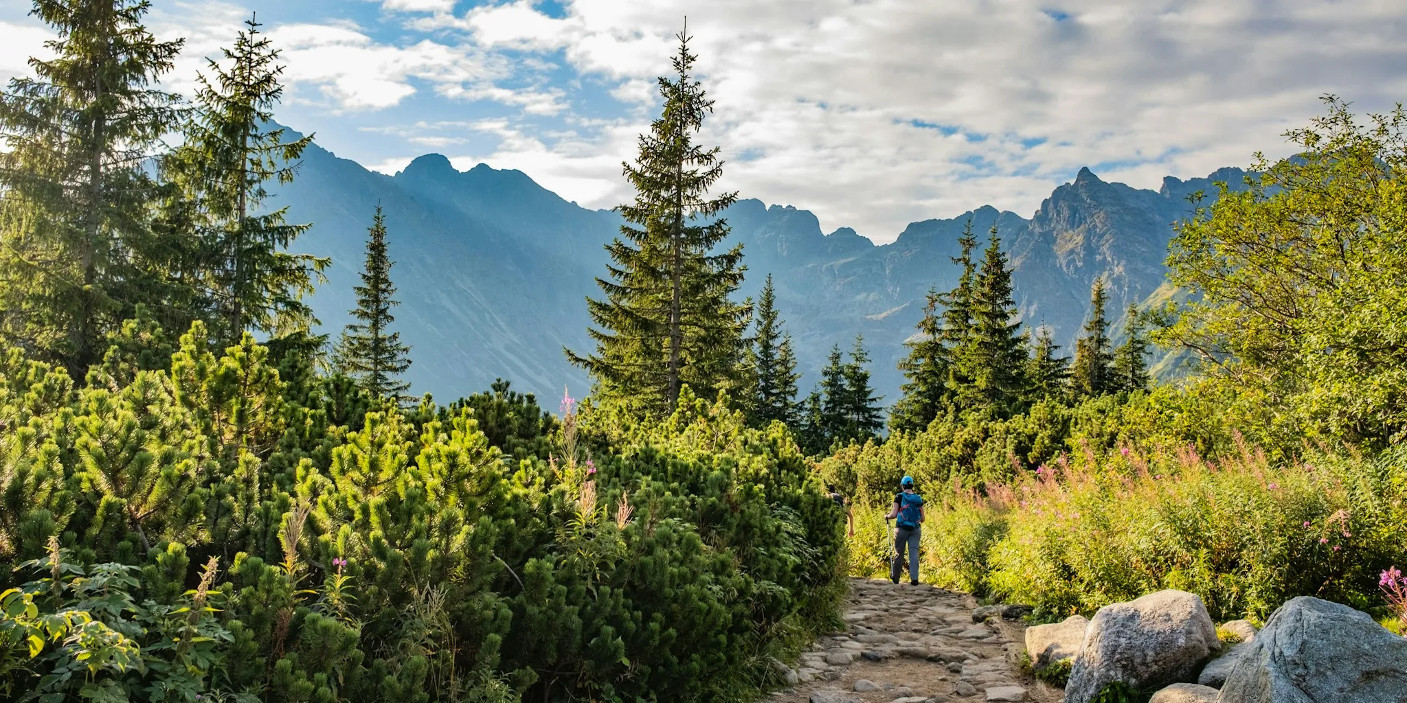 Colorado Hiking Disappearance Resurfaces Critical Safety Lessons