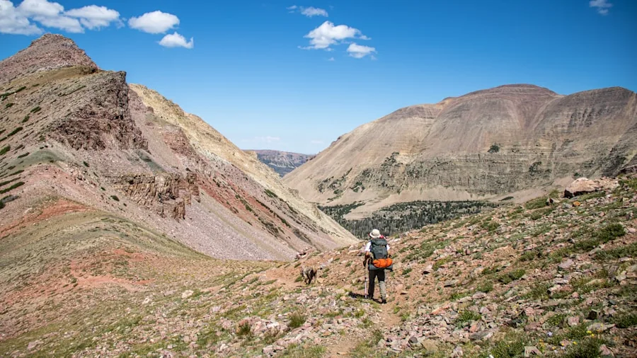 Hiker wearing boots walking on a rocky mountain trail during daytime