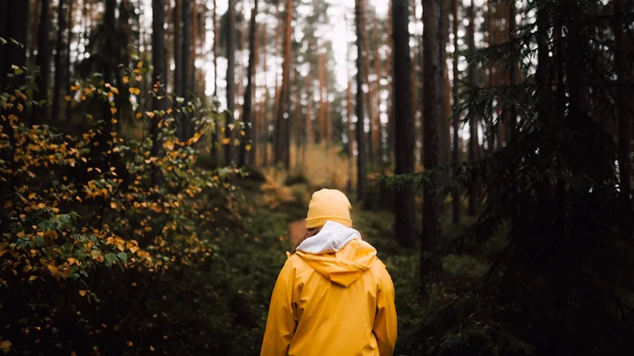 Hiker wearing rain jacket on wet forest trail during rainfall