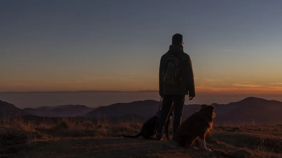 hiker with large dog mountain landscape