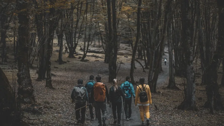 Summer Hiking Sales Are Here: Major Discounts on Trail Gear and Apparel 3 hikers walking through forest