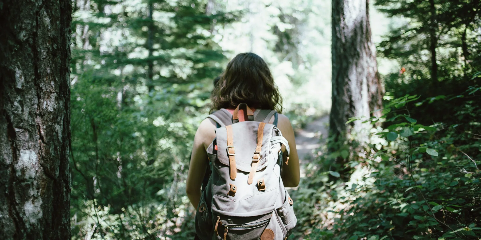 New Hiking Daypacks Debut for Fall 2024