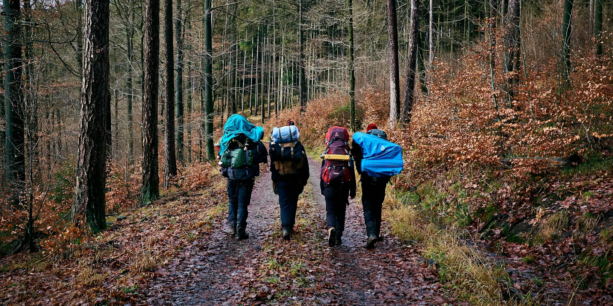 Hydration Pack Options Tested for Hikers in 2026