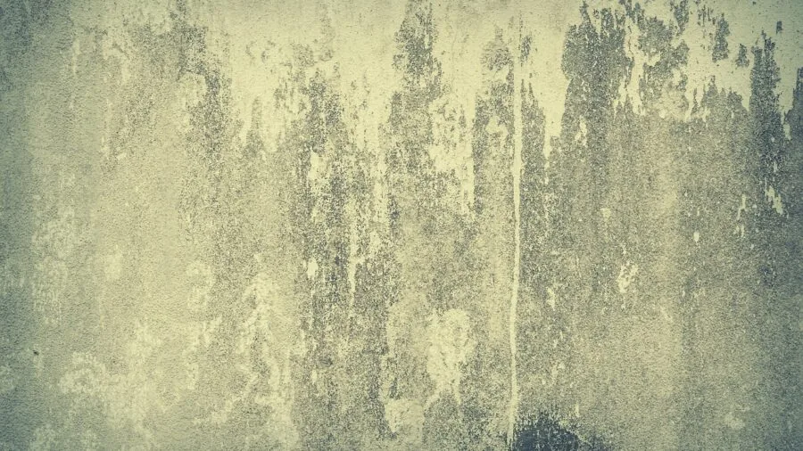 Homeowner examining vintage plaster wall texture in older house interior